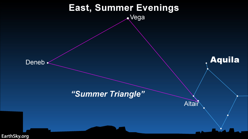 altair-brightest-star-aquila